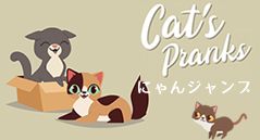 にゃんジャンプ